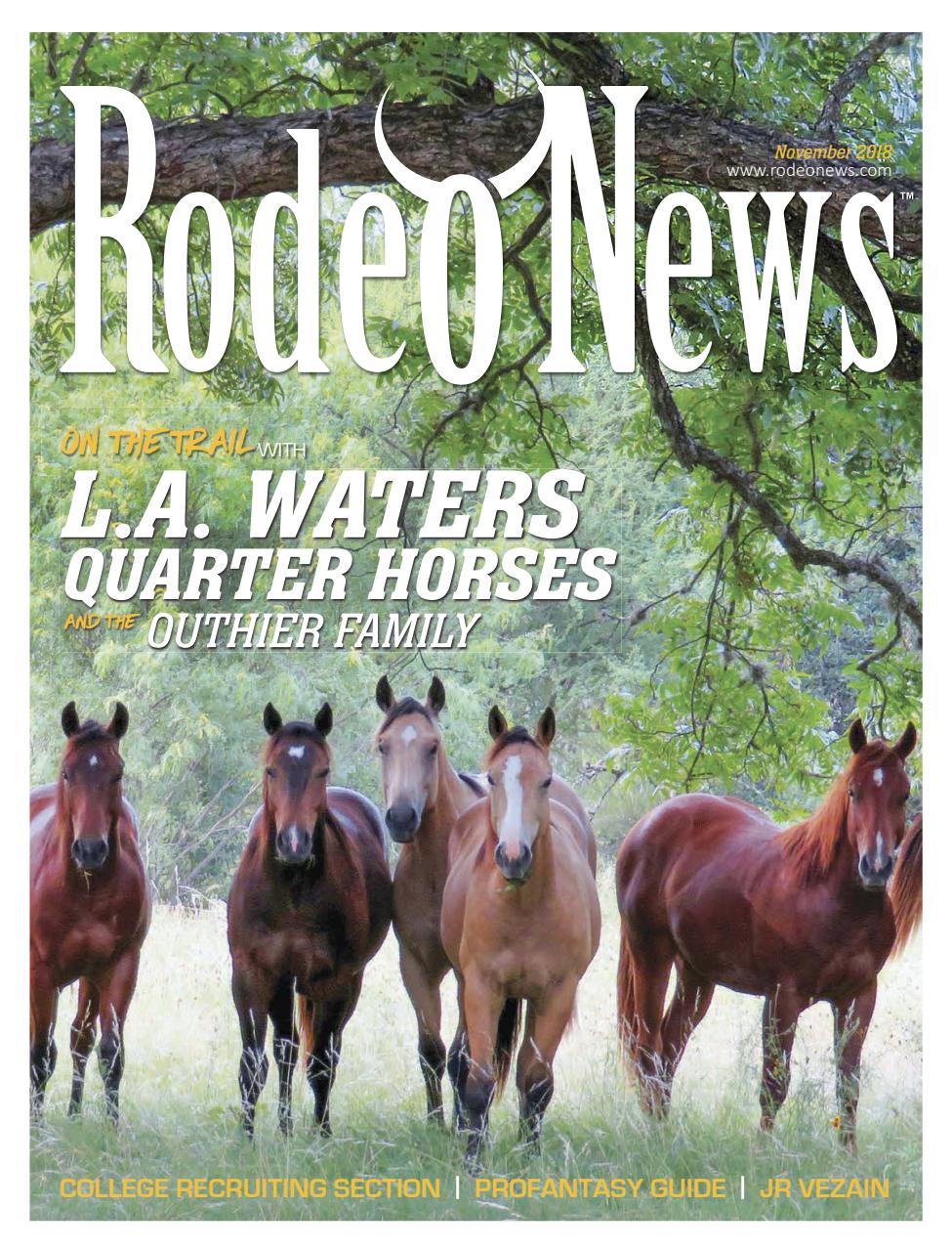 Rodeo Life Preview Pages