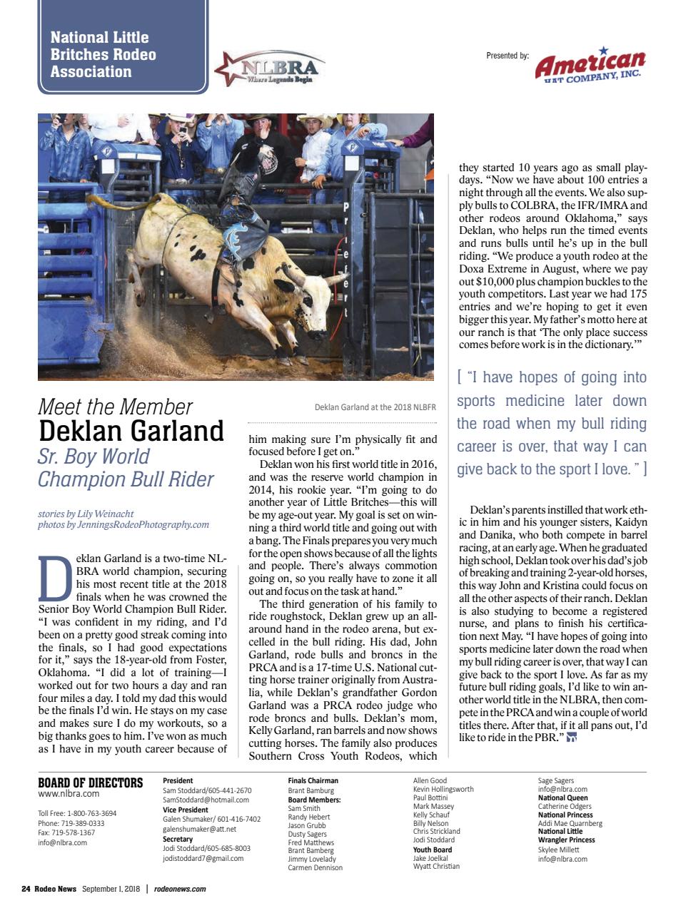 Rodeo Life Preview Pages