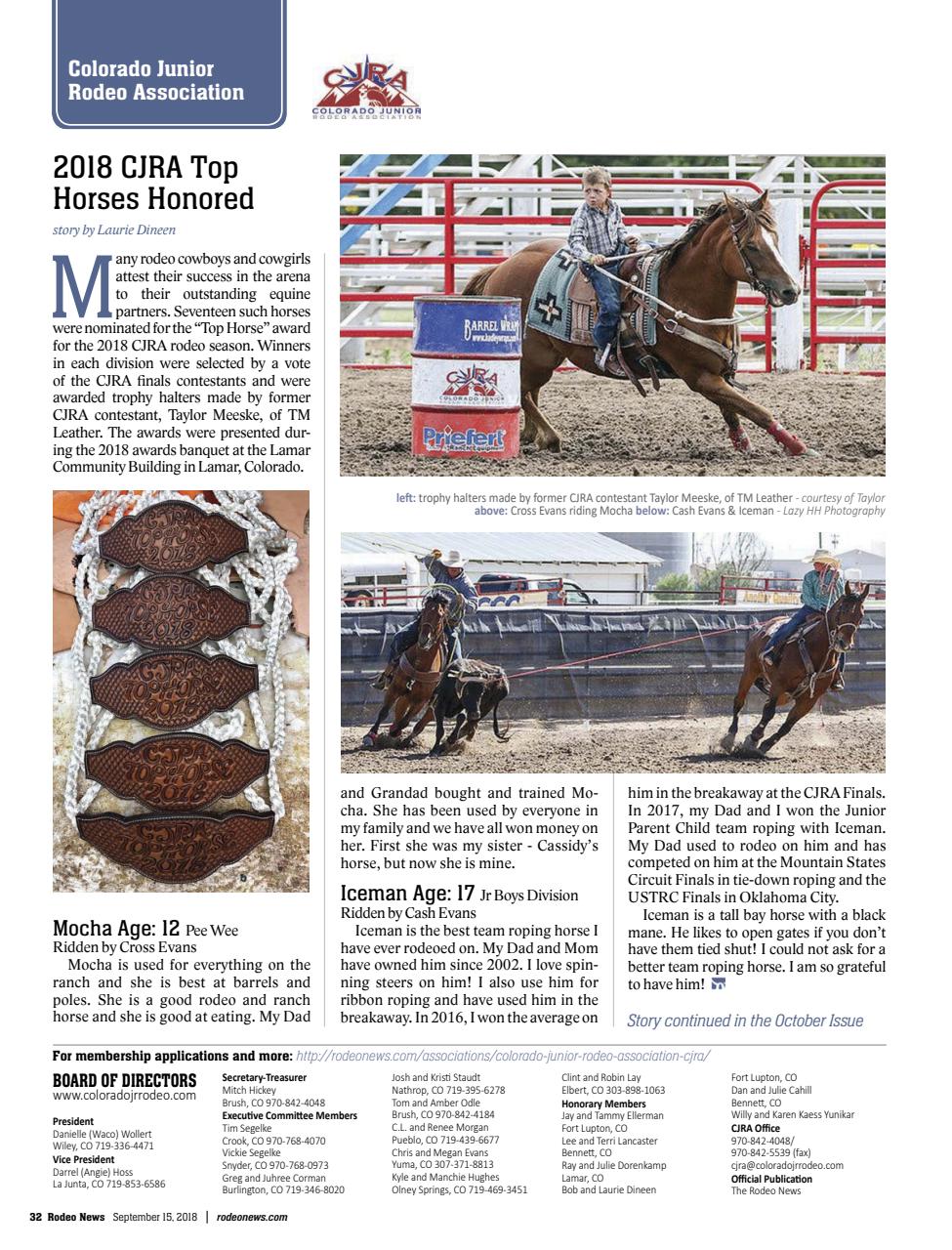 Rodeo Life Preview Pages