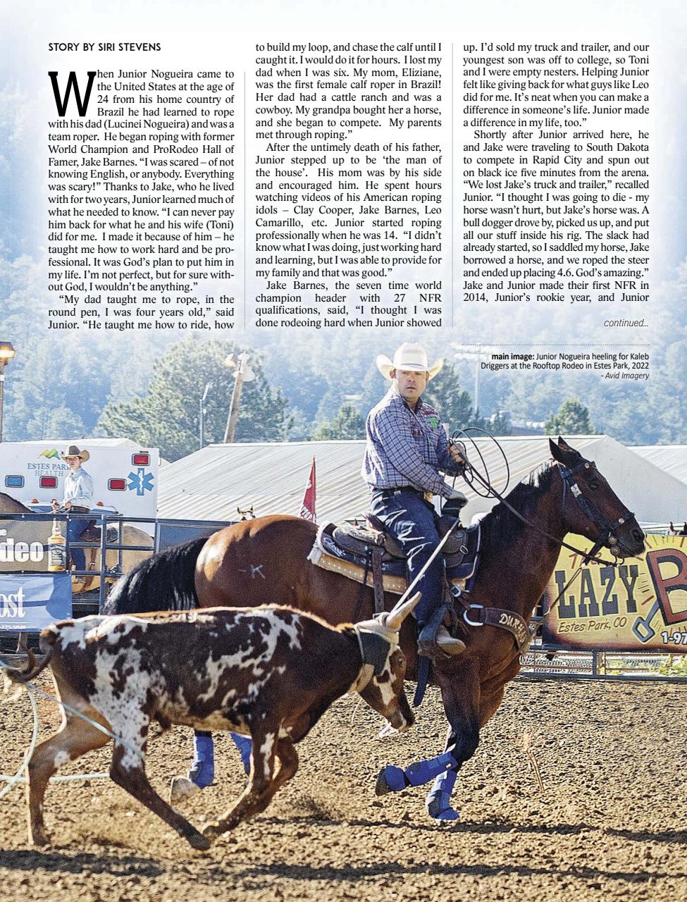Rodeo Life Preview Pages