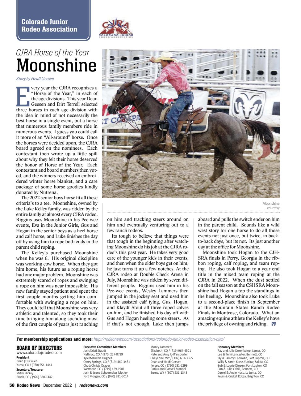 Rodeo Life Preview Pages