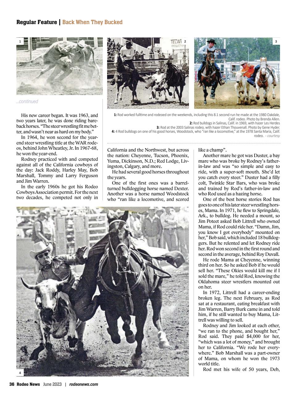 Rodeo Life Preview Pages