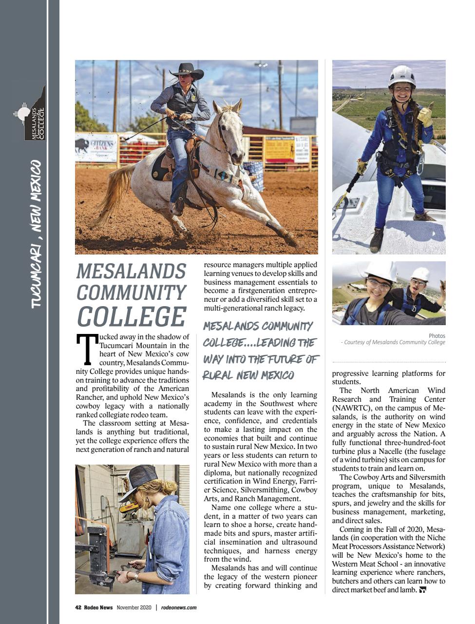 Rodeo Life Preview Pages
