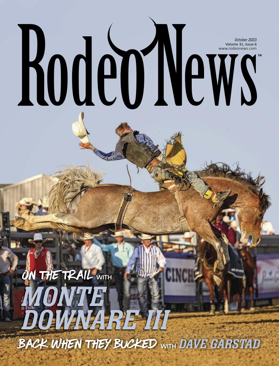 Rodeo Life Preview Pages