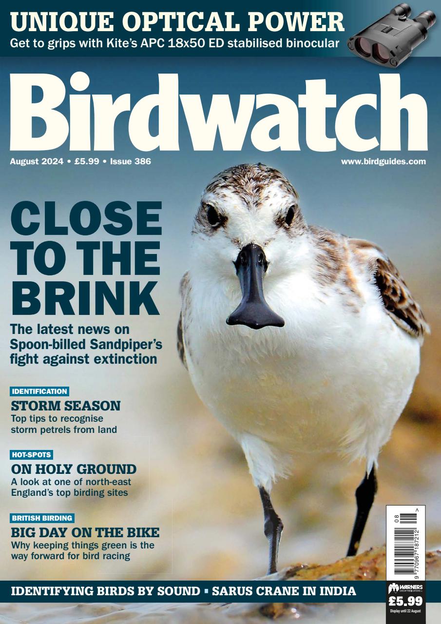 Birdwatch Magazine Preview Pages