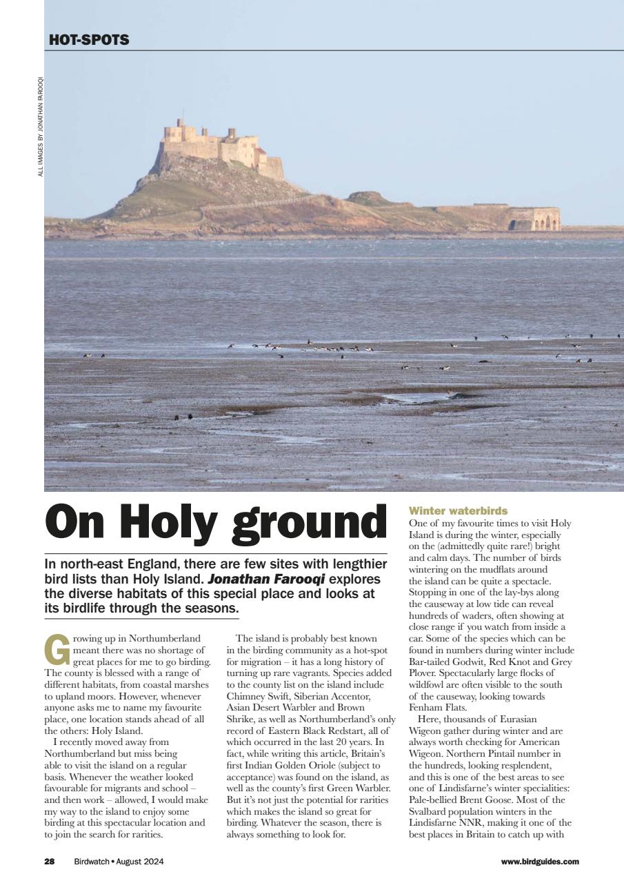 Birdwatch Magazine Preview Pages