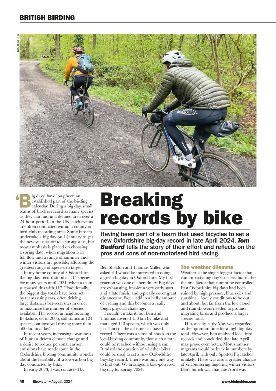 Birdwatch Magazine Preview Pages