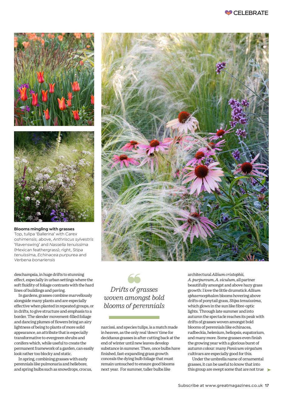 Garden Answers Preview Pages