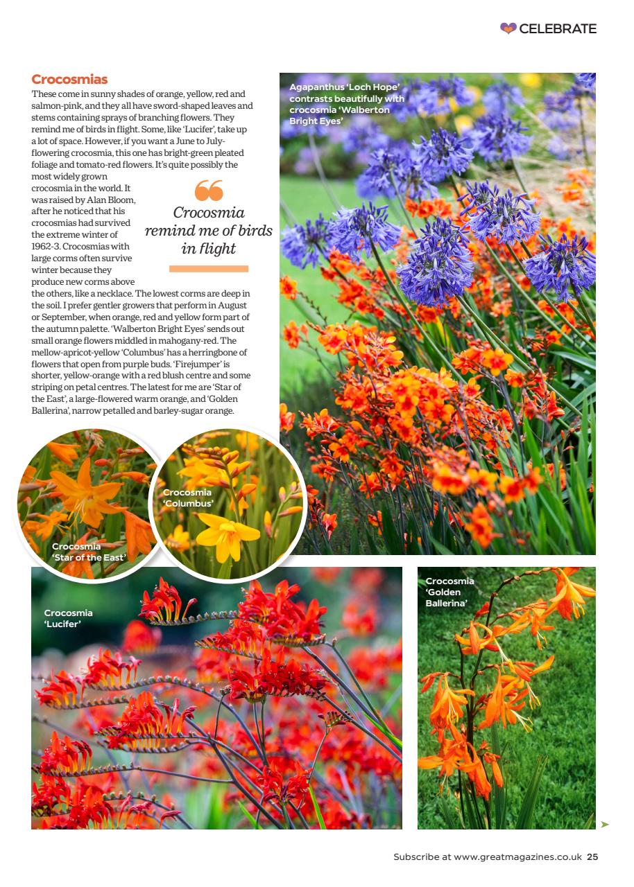Garden Answers Preview Pages