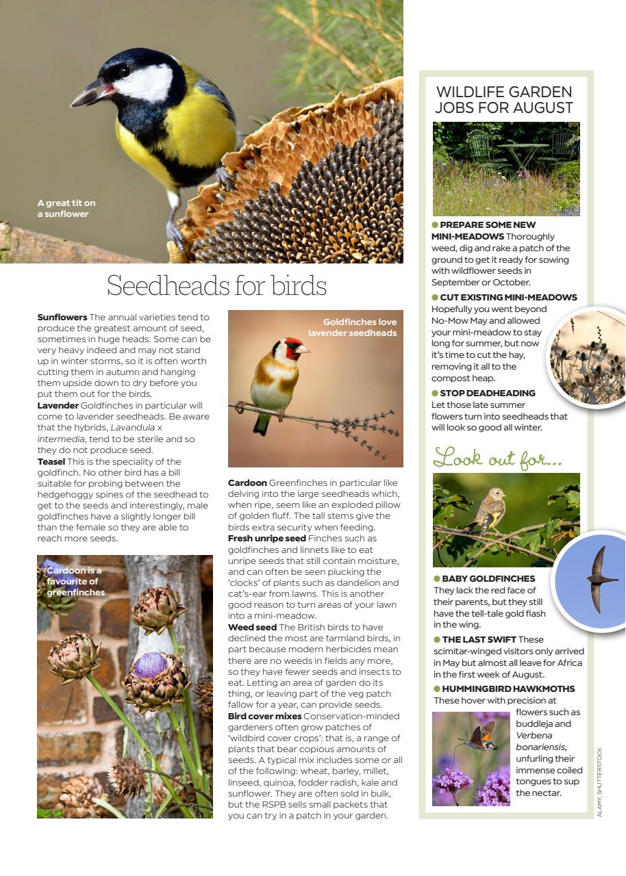 Garden Answers Preview Pages