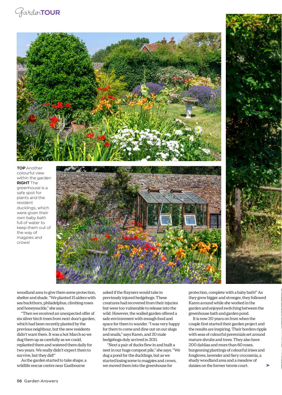 Garden Answers Preview Pages
