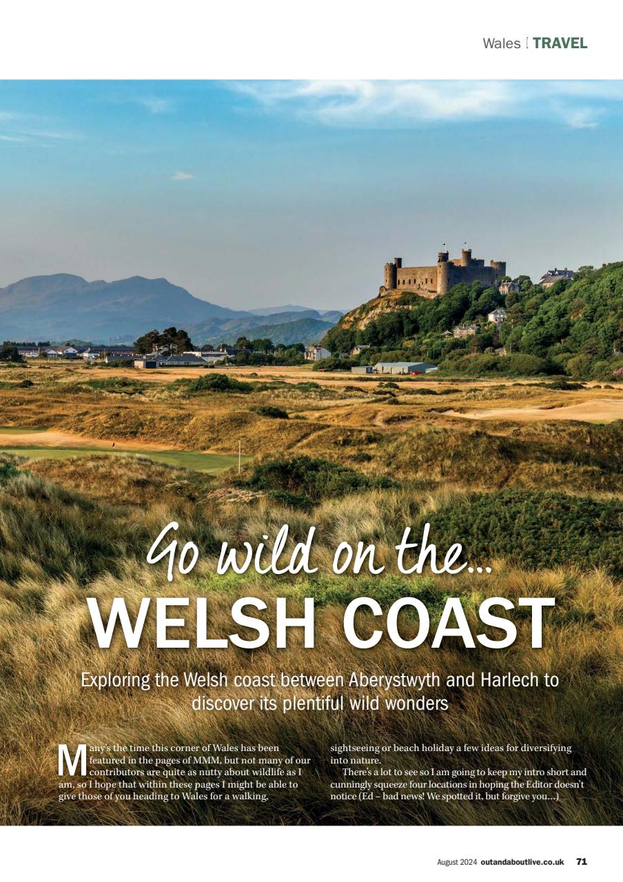 MMM magazine Preview Pages