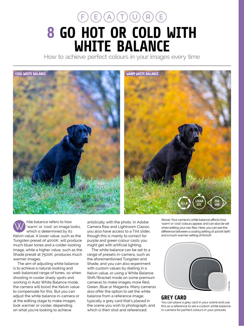 Photography Week Preview Pages