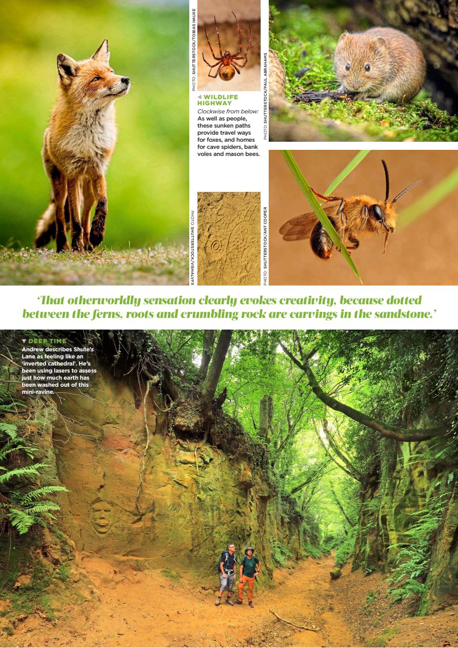 Country Walking Preview Pages