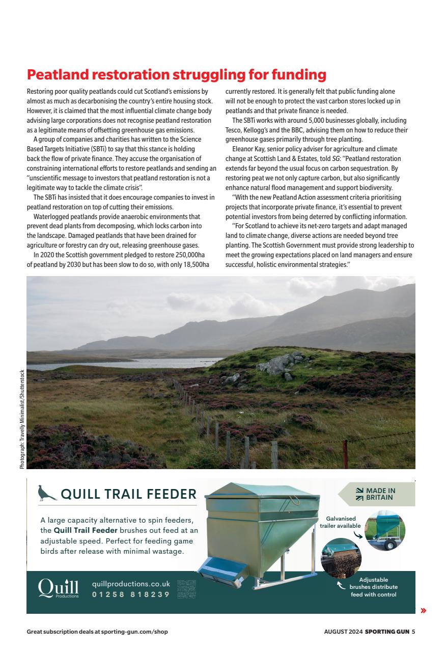 Sporting Gun Preview Pages