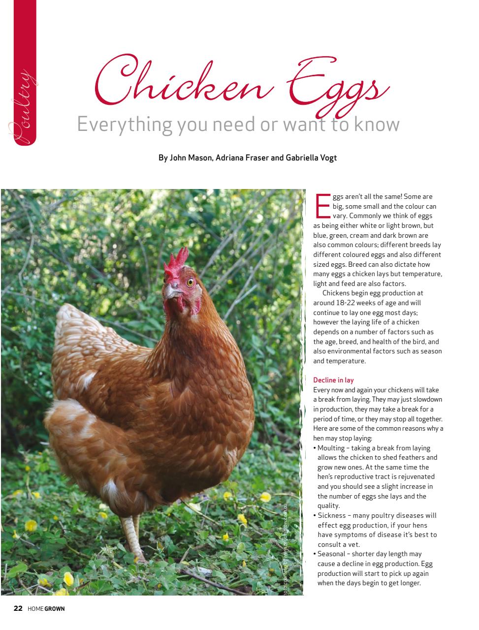 HomeGrown Preview Pages