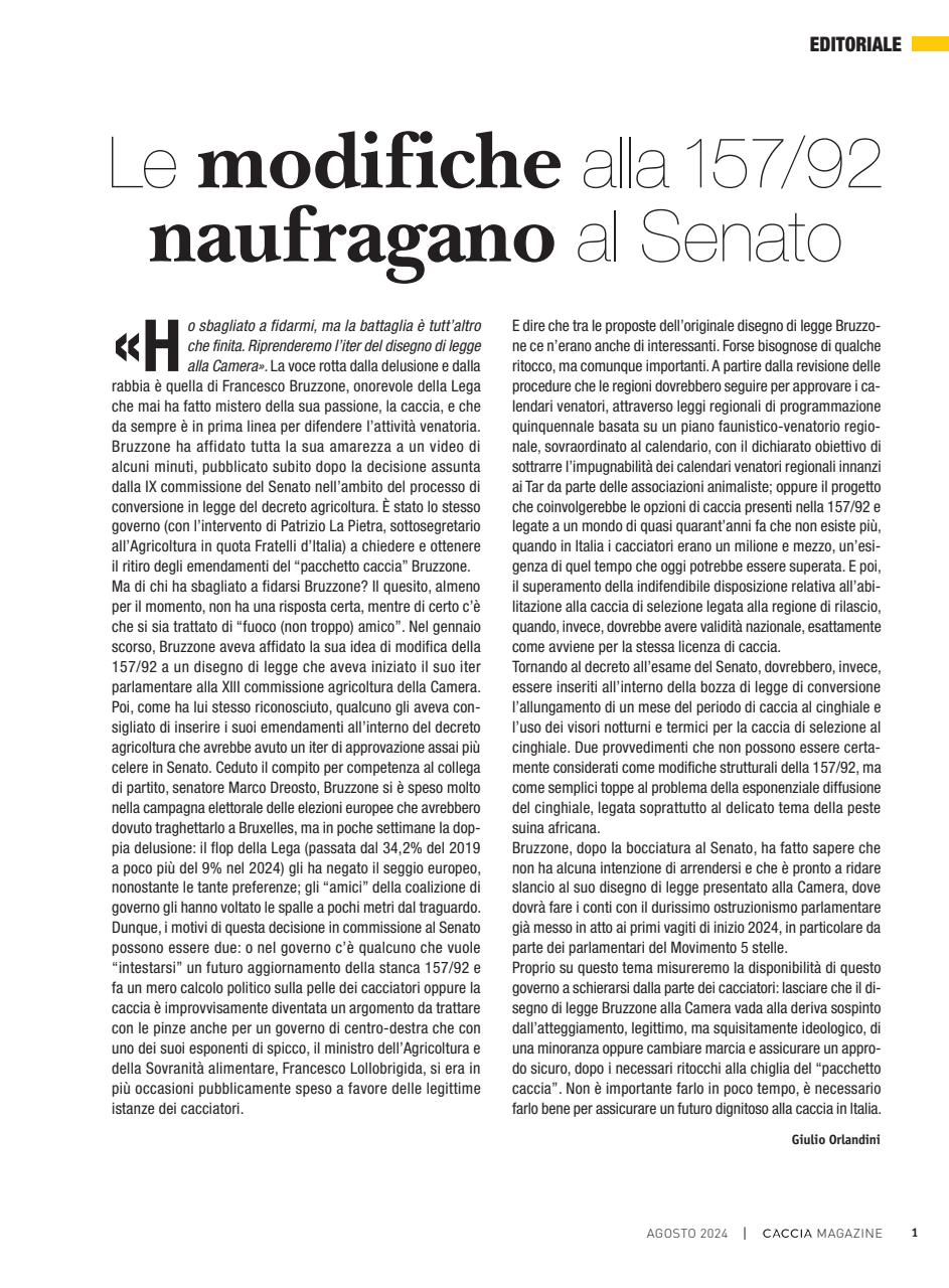 Caccia Magazine Preview Pages