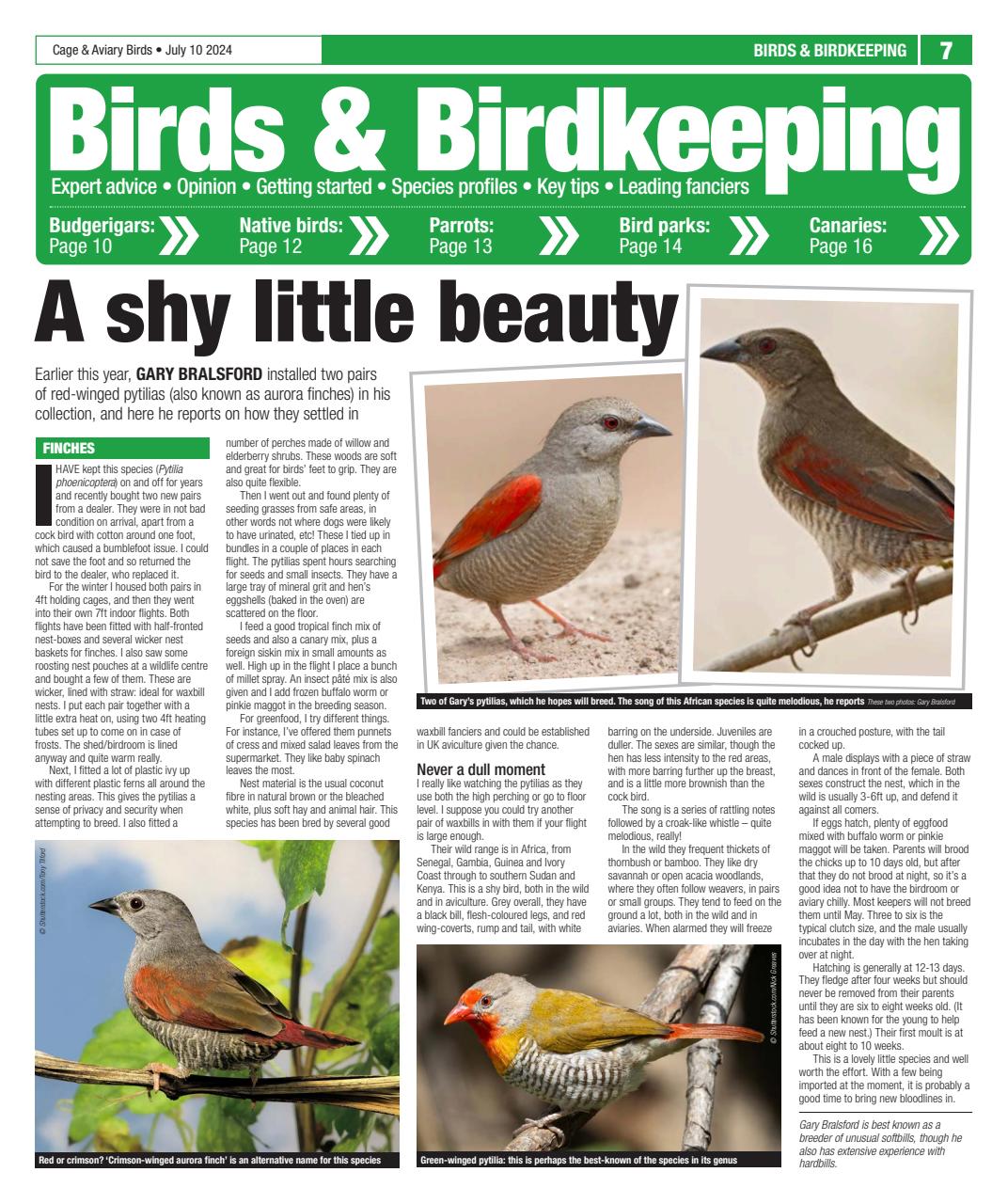 Cage & Aviary Birds Preview Pages