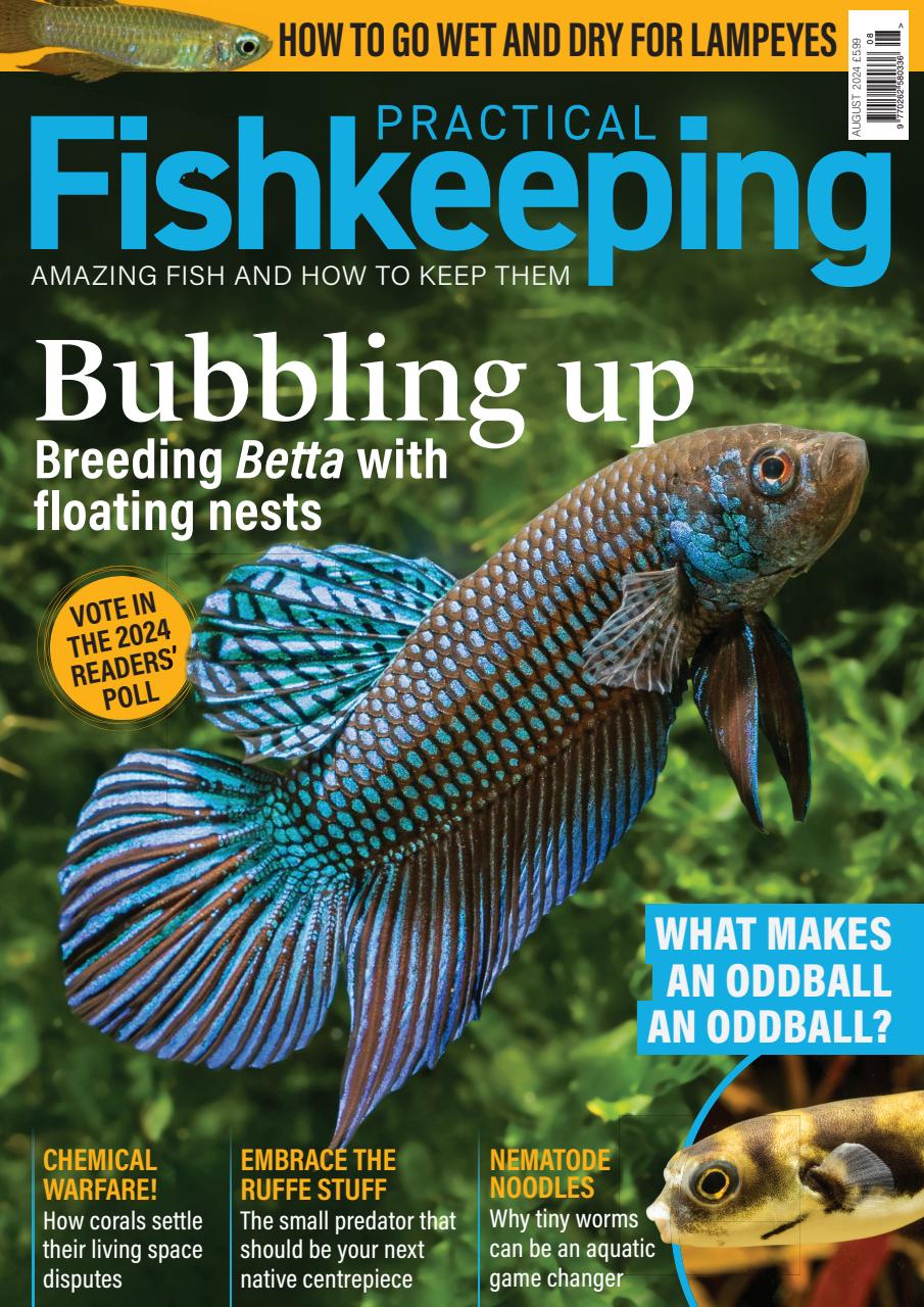 Practical Fishkeeping Preview Pages