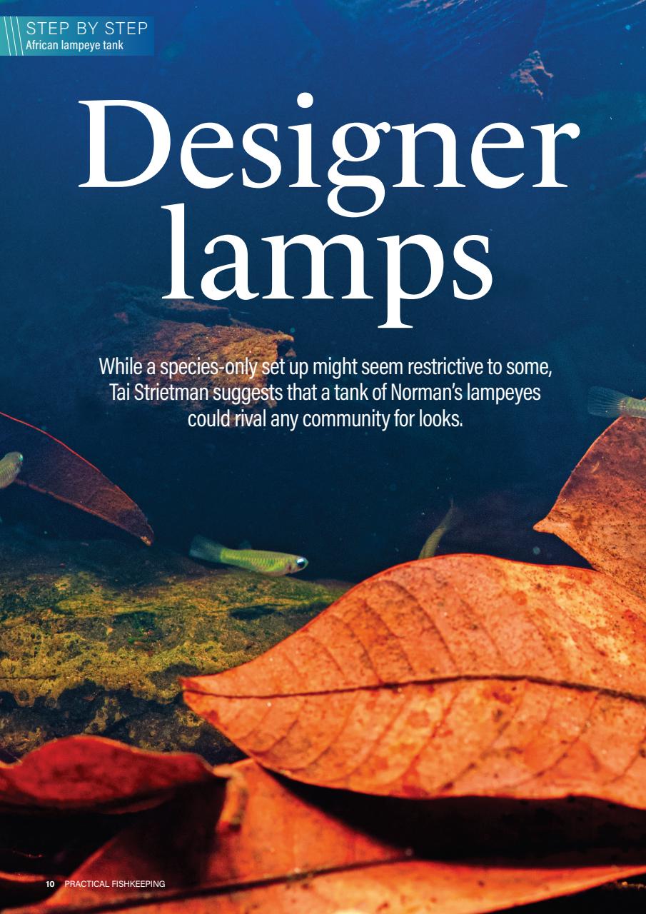 Practical Fishkeeping Preview Pages