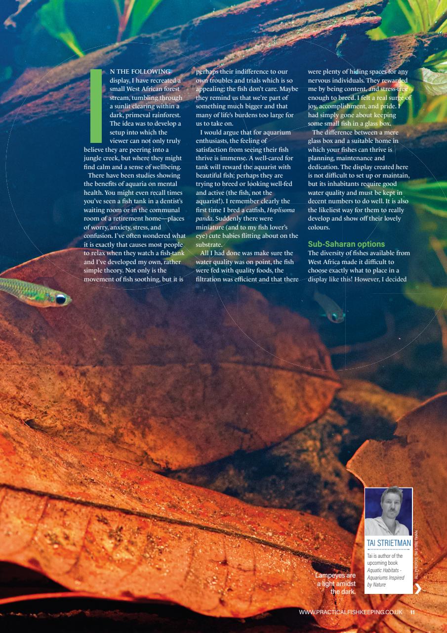 Practical Fishkeeping Preview Pages