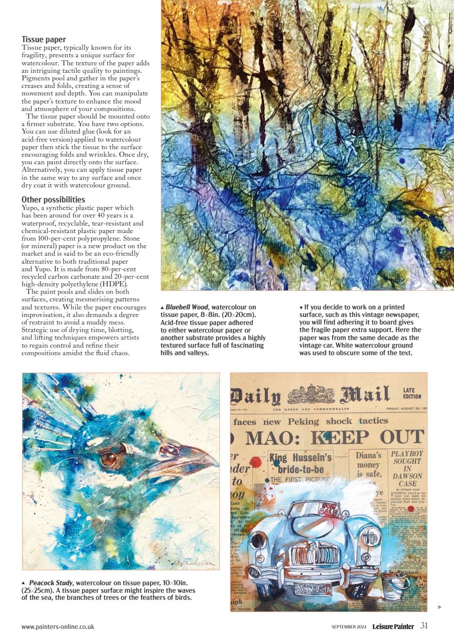 Leisure Painter & The Artist Preview Pages