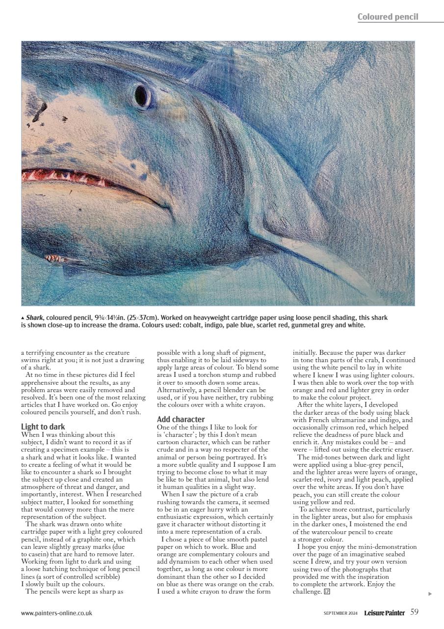 Leisure Painter & The Artist Preview Pages