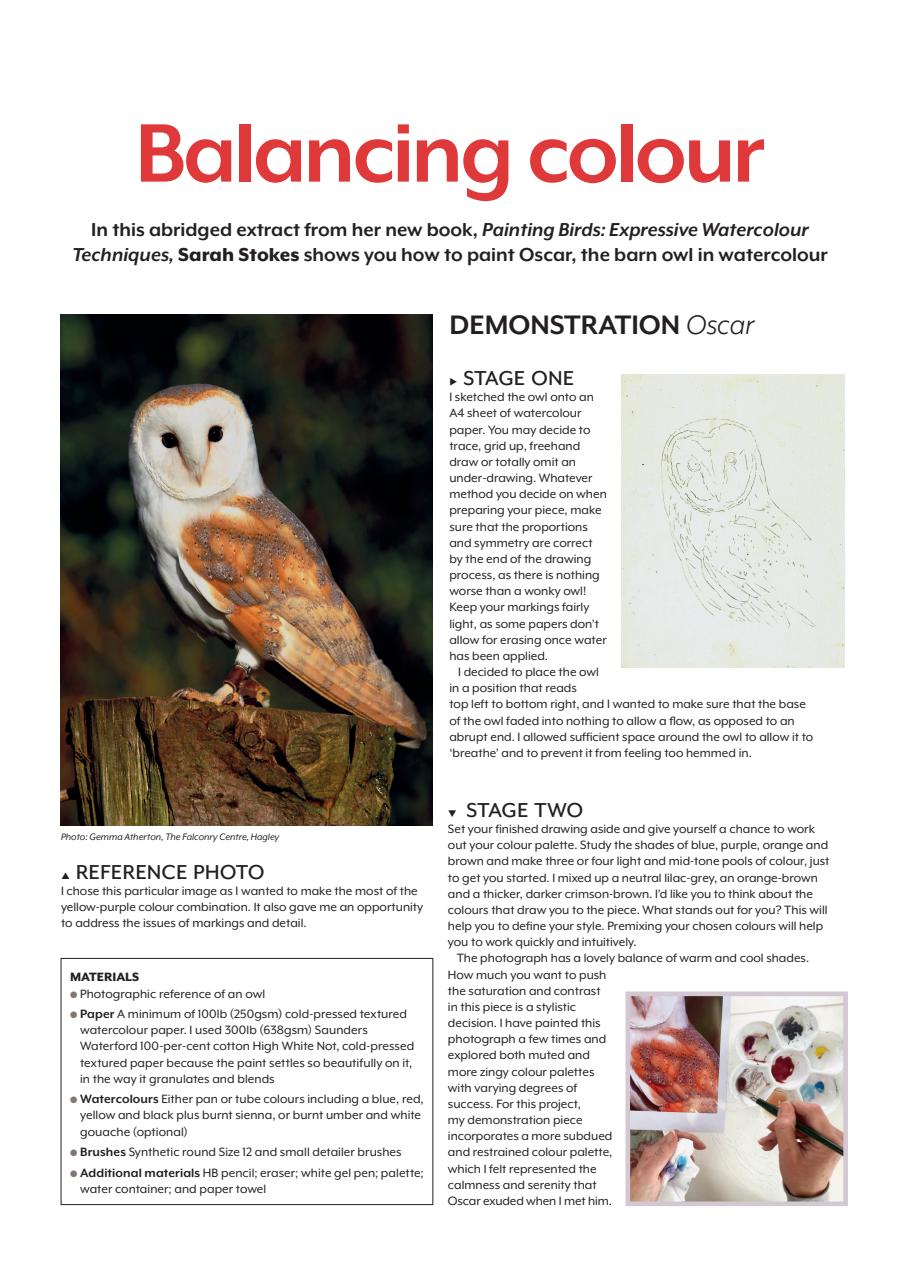 The Artist Preview Pages