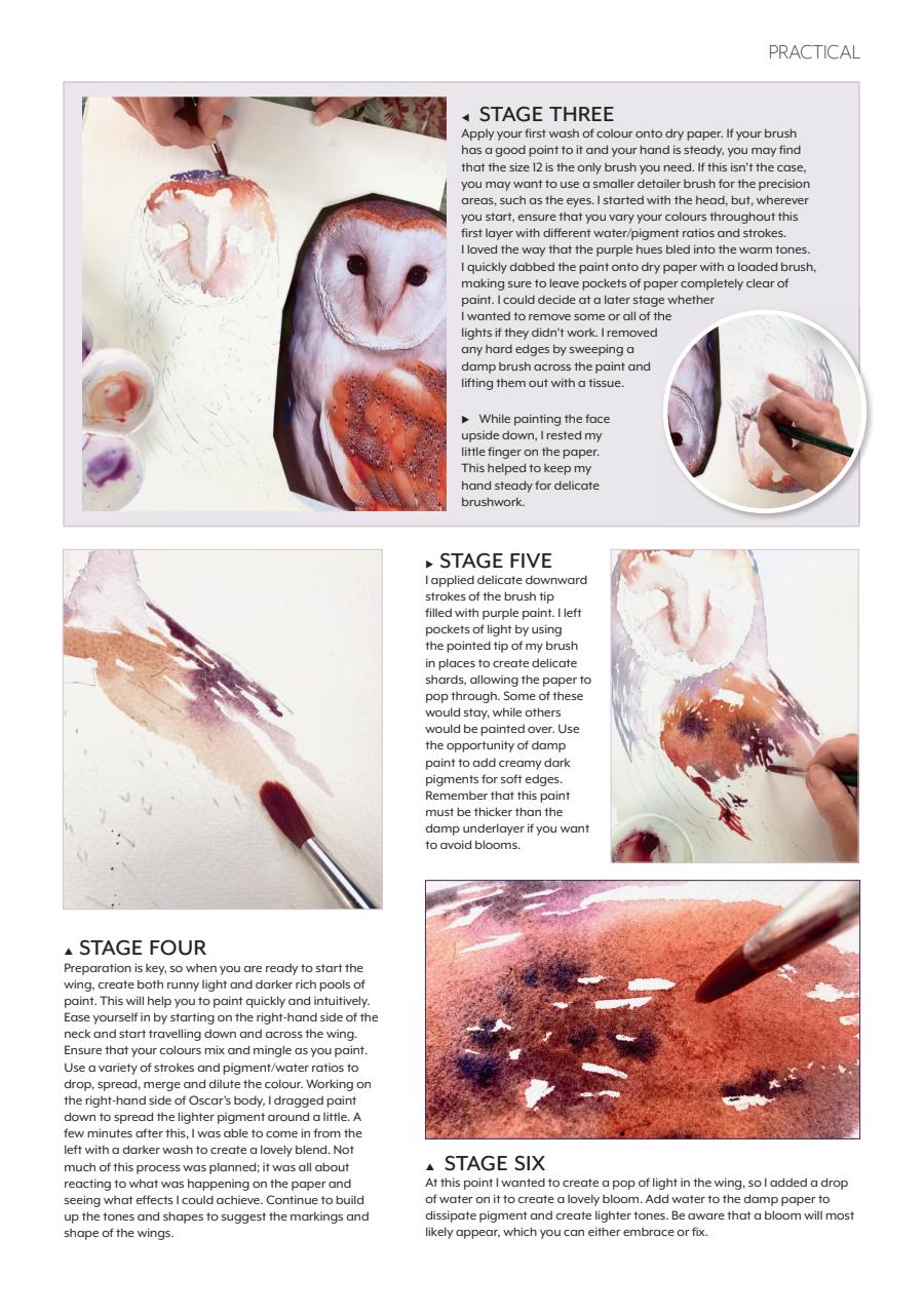 The Artist Preview Pages