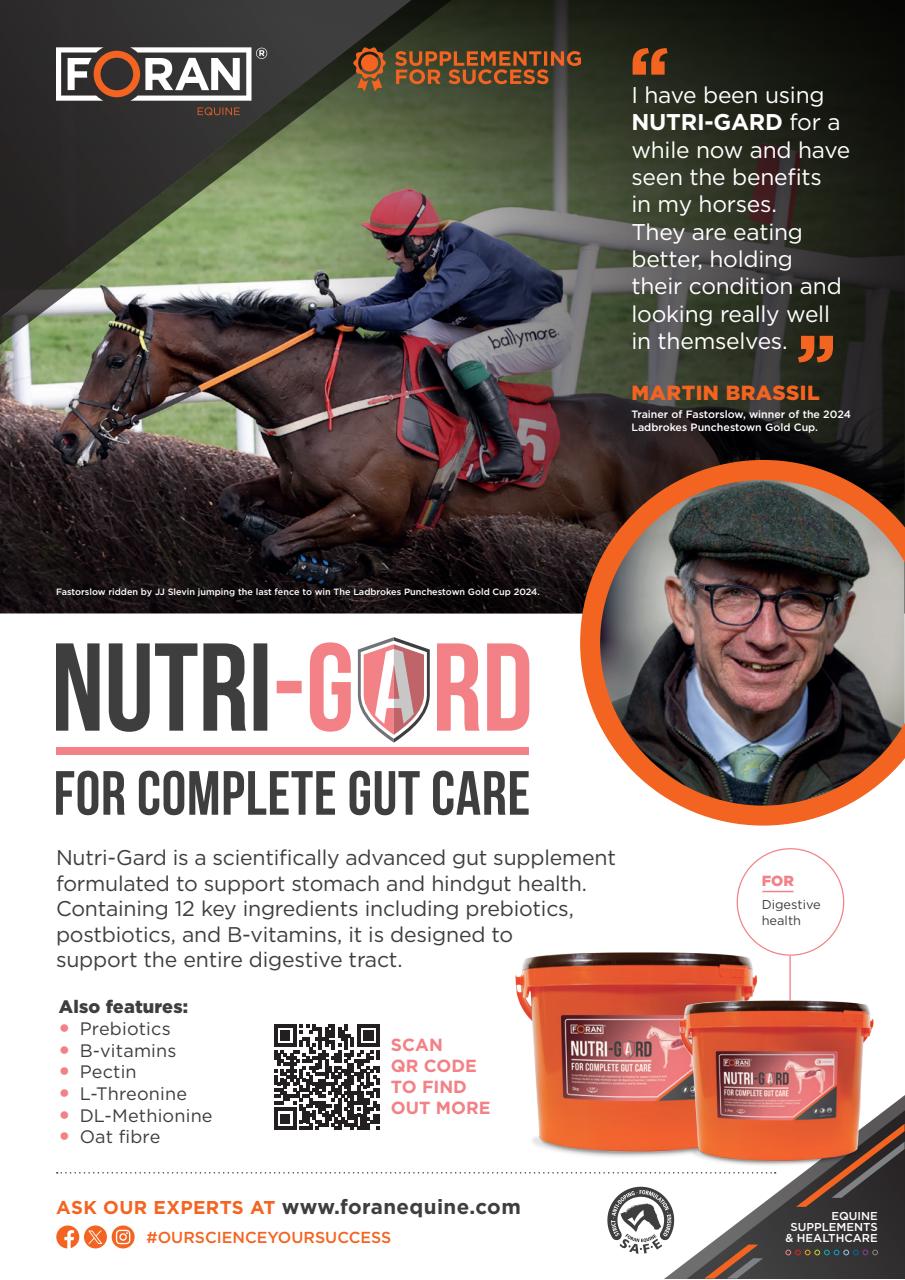 European Trainer Magazine - horse racing Preview Pages