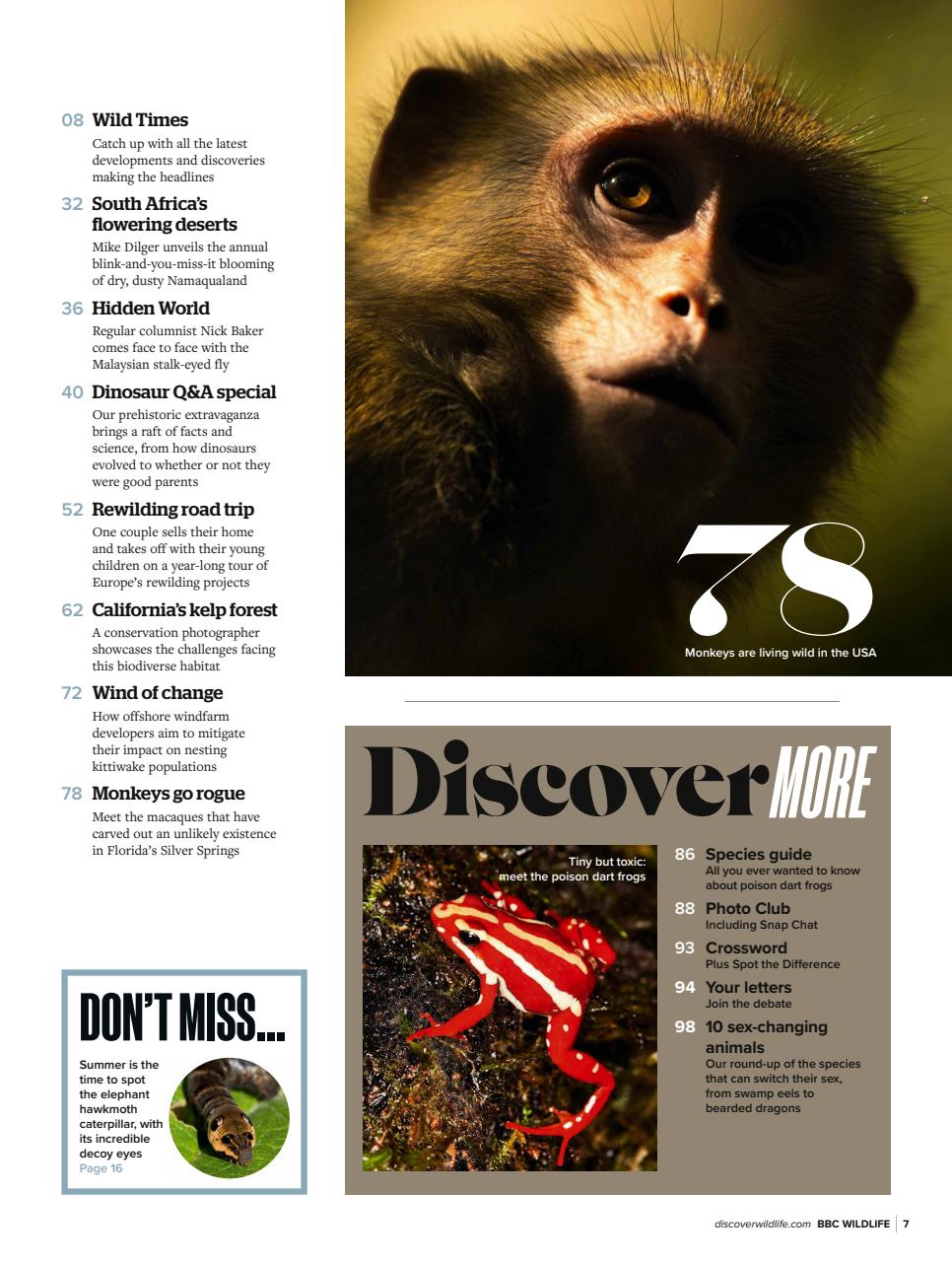 BBC Wildlife Magazine Preview Pages