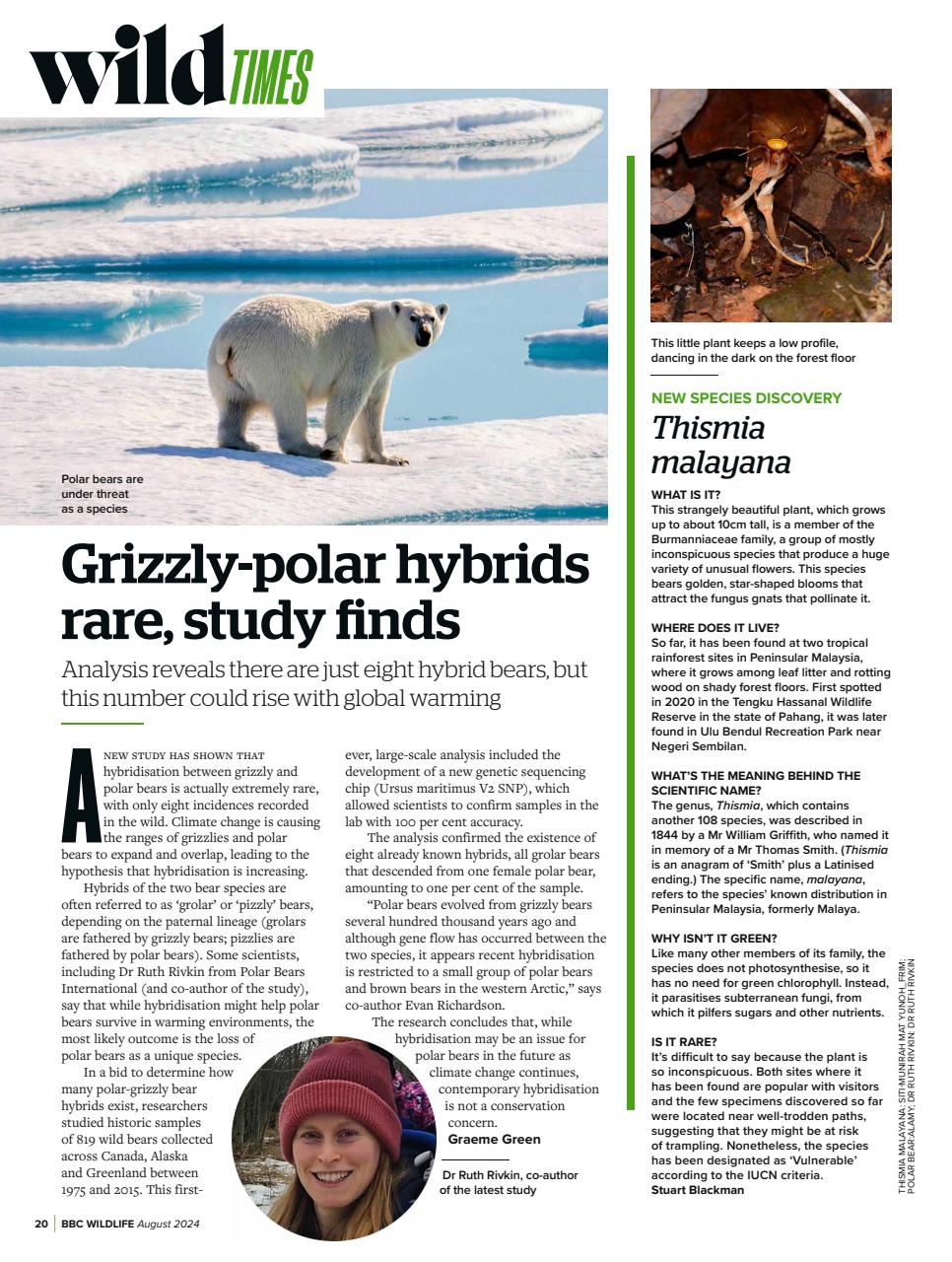 BBC Wildlife Magazine Preview Pages