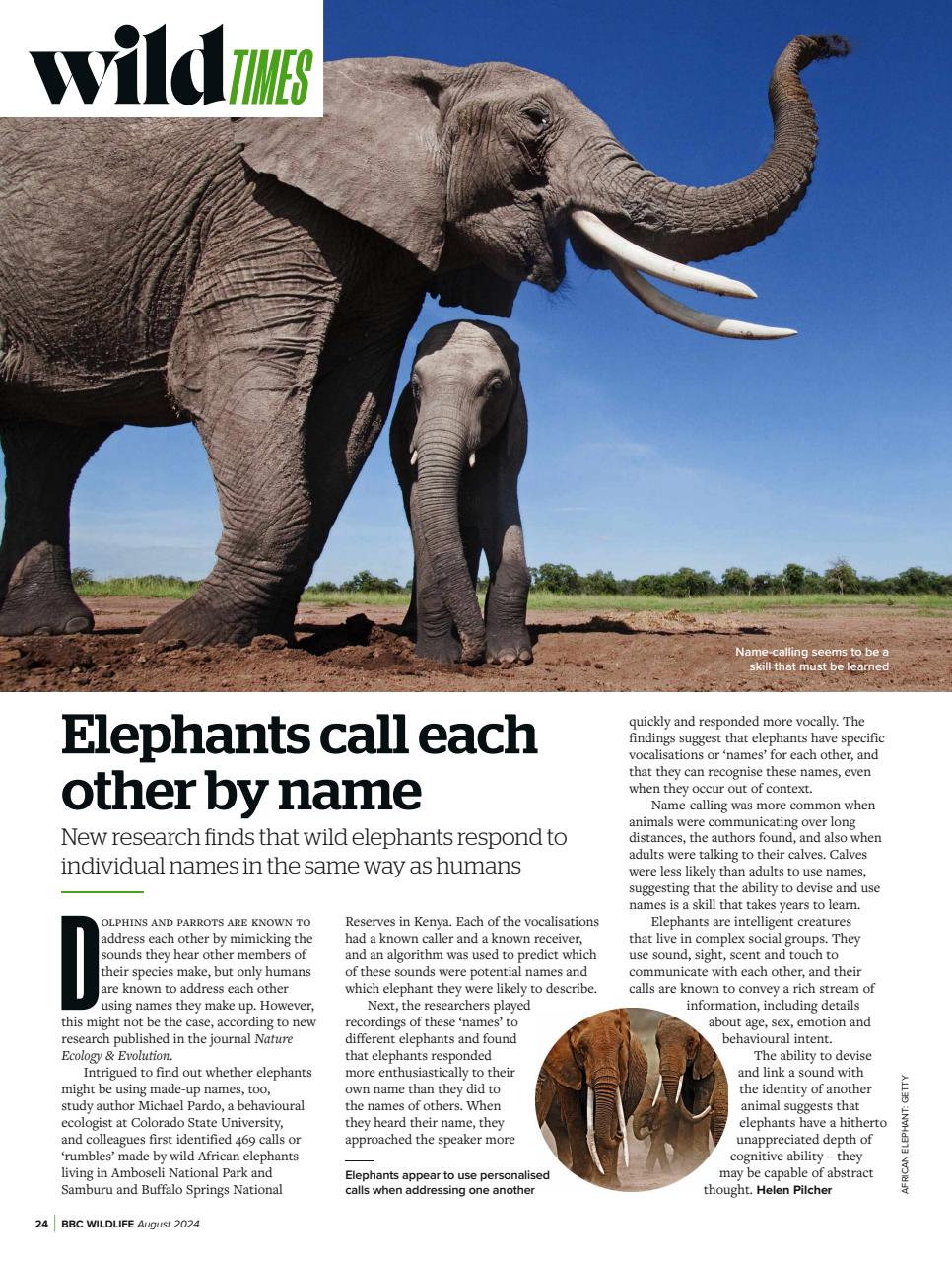 BBC Wildlife Magazine Preview Pages