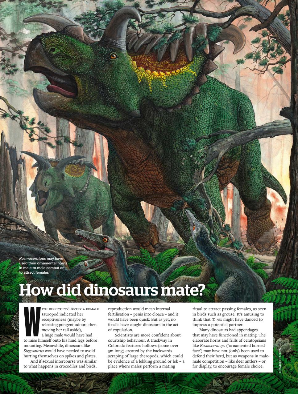BBC Wildlife Magazine Preview Pages