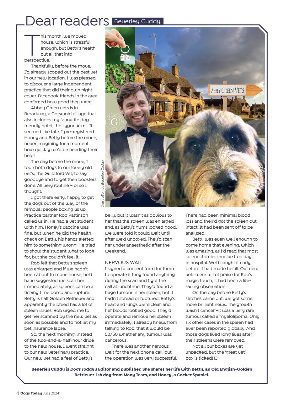 Dogs Today Magazine Preview Pages