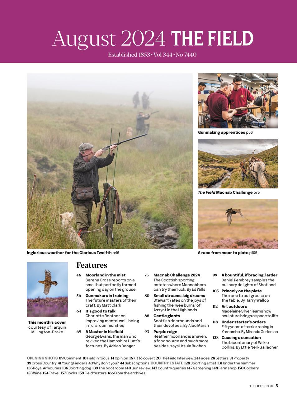 The Field Preview Pages