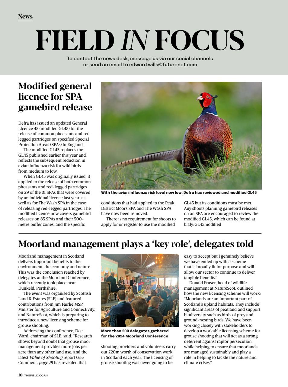 The Field Preview Pages