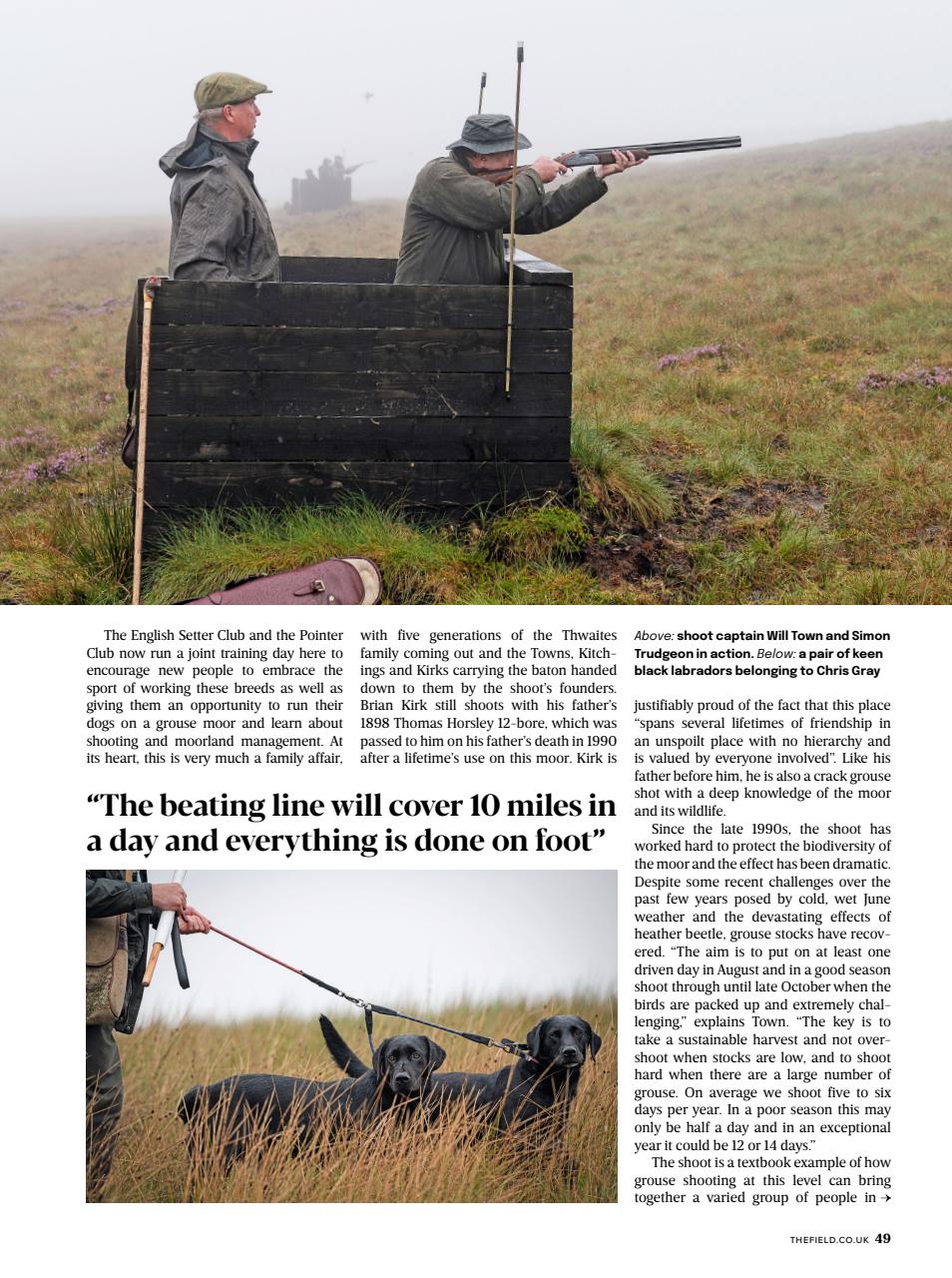 The Field Preview Pages