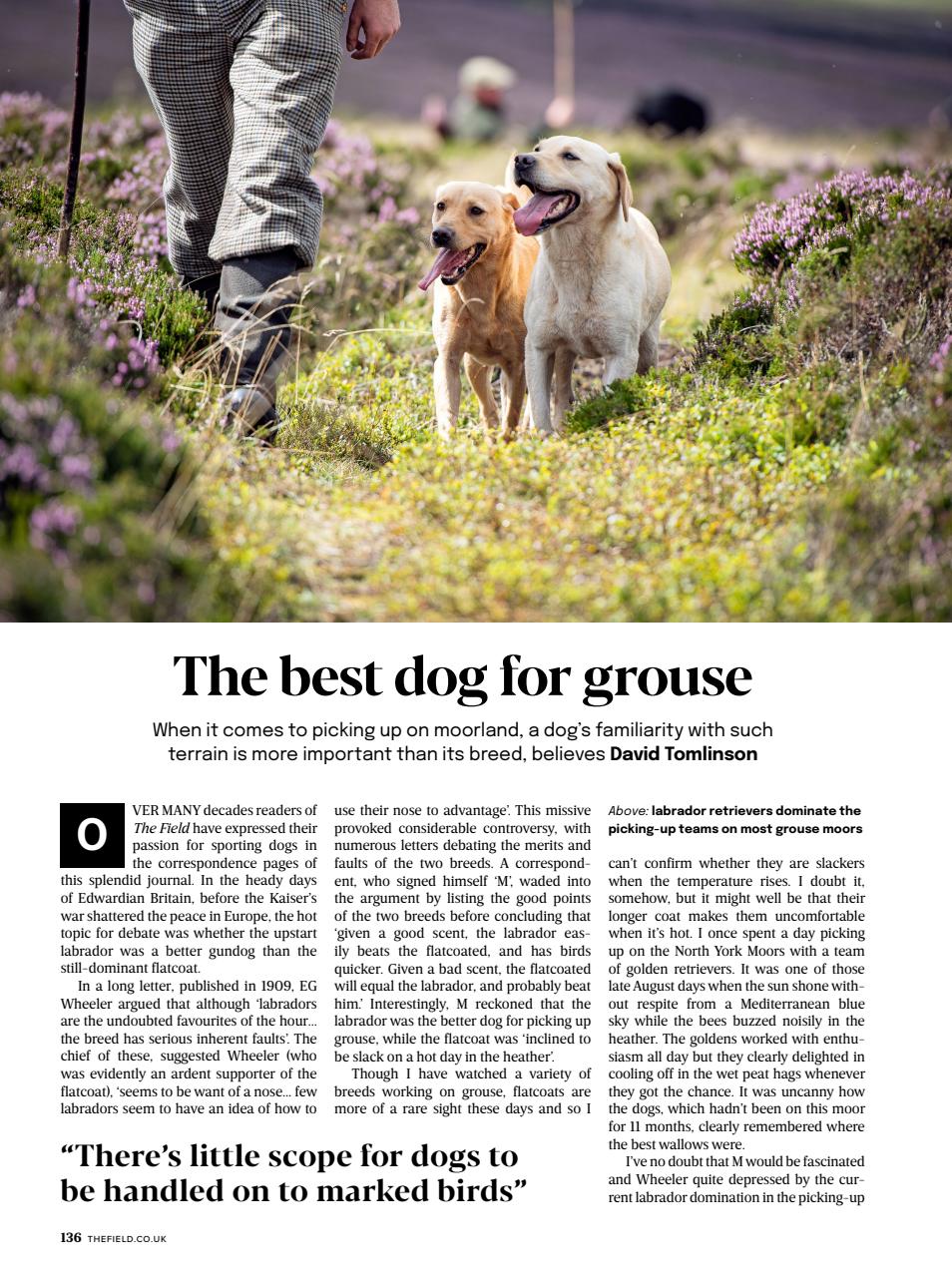 The Field Preview Pages