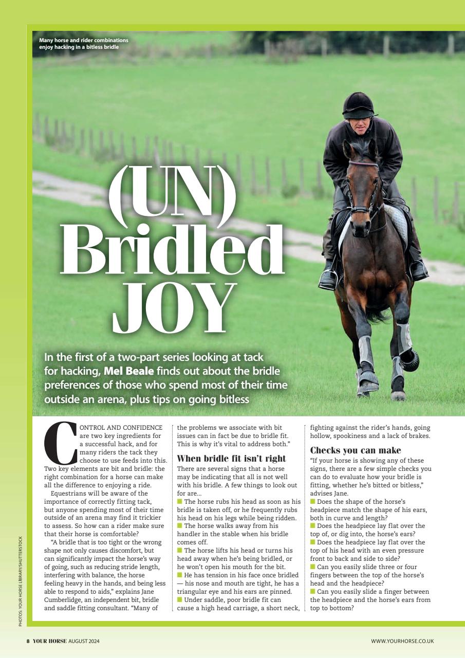 Your Horse Preview Pages