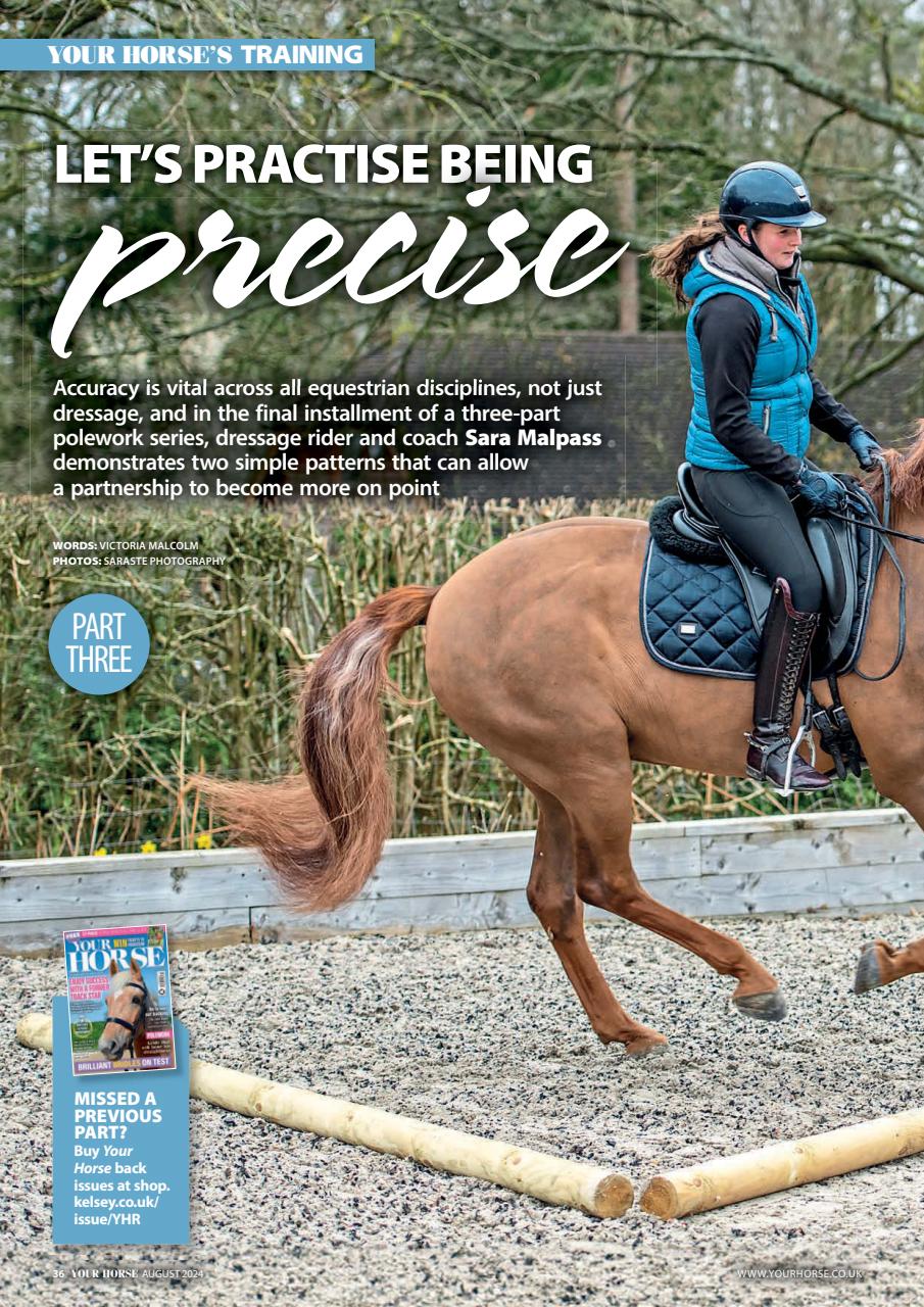 Your Horse Preview Pages