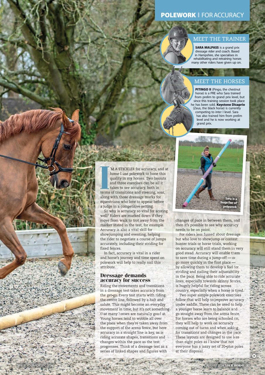 Your Horse Preview Pages