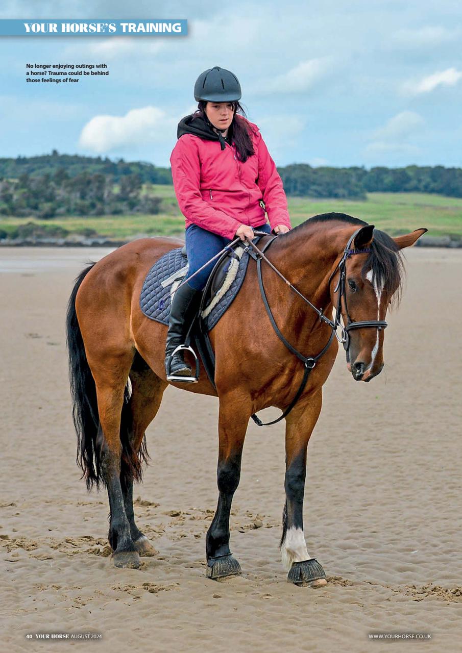 Your Horse Preview Pages