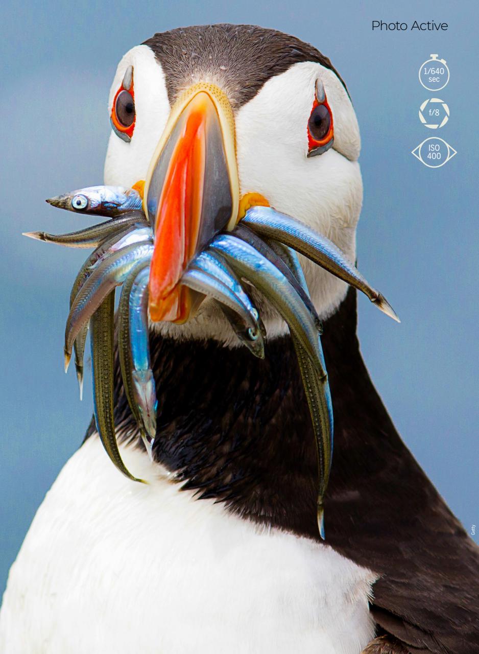 Digital Camera Magazine Preview Pages