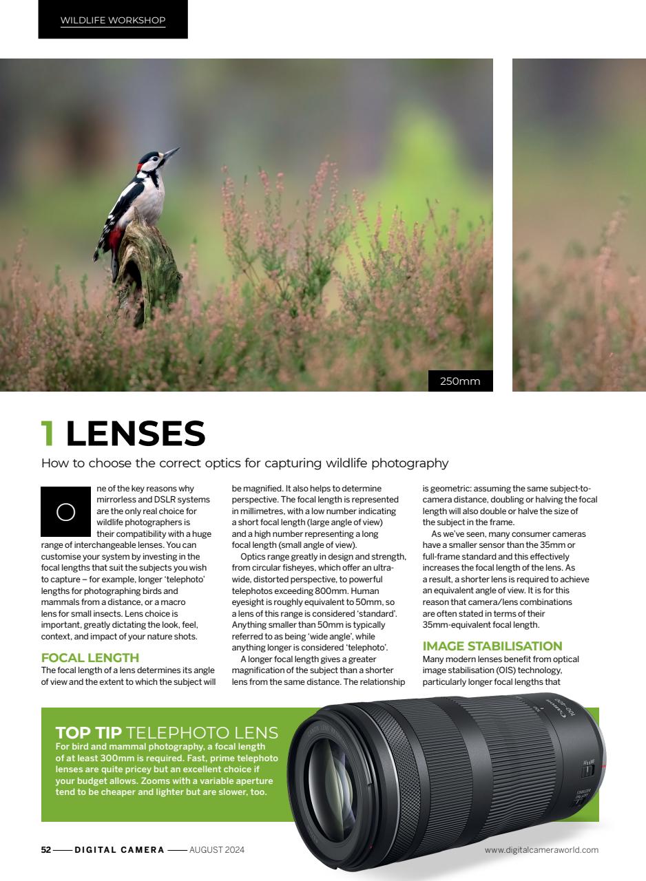 Digital Camera Magazine Preview Pages