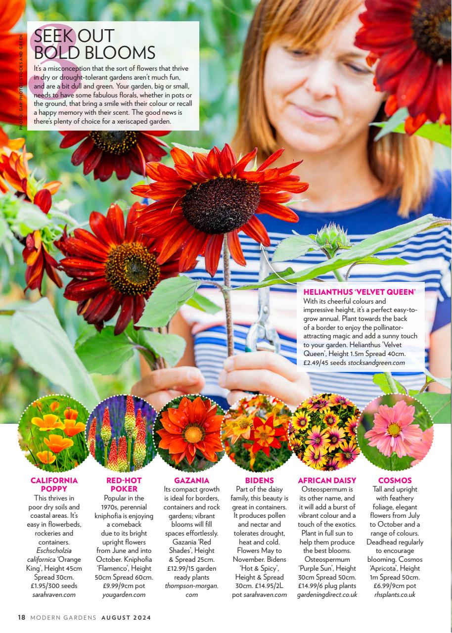 Modern Gardens Preview Pages