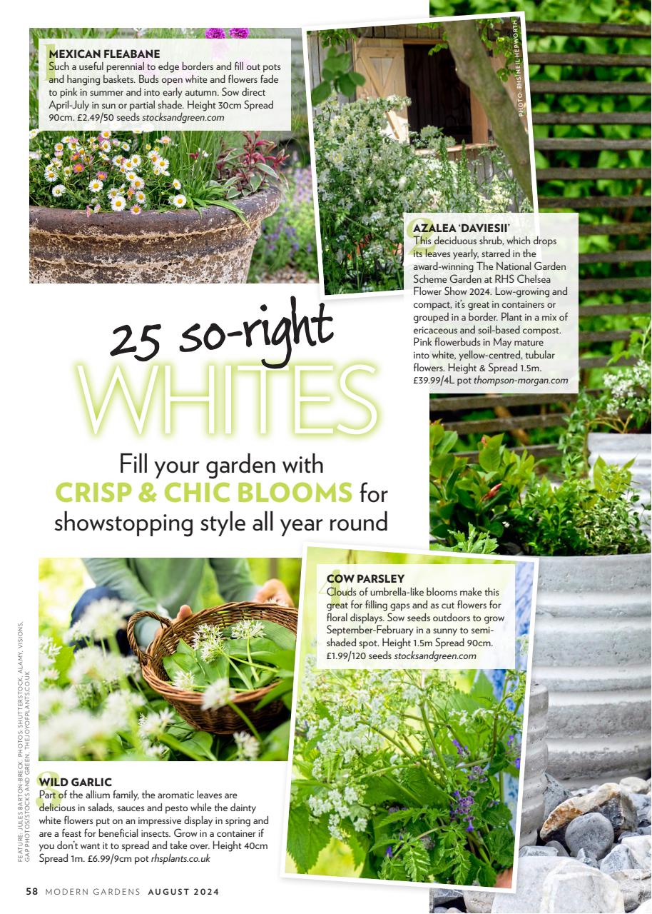 Modern Gardens Preview Pages