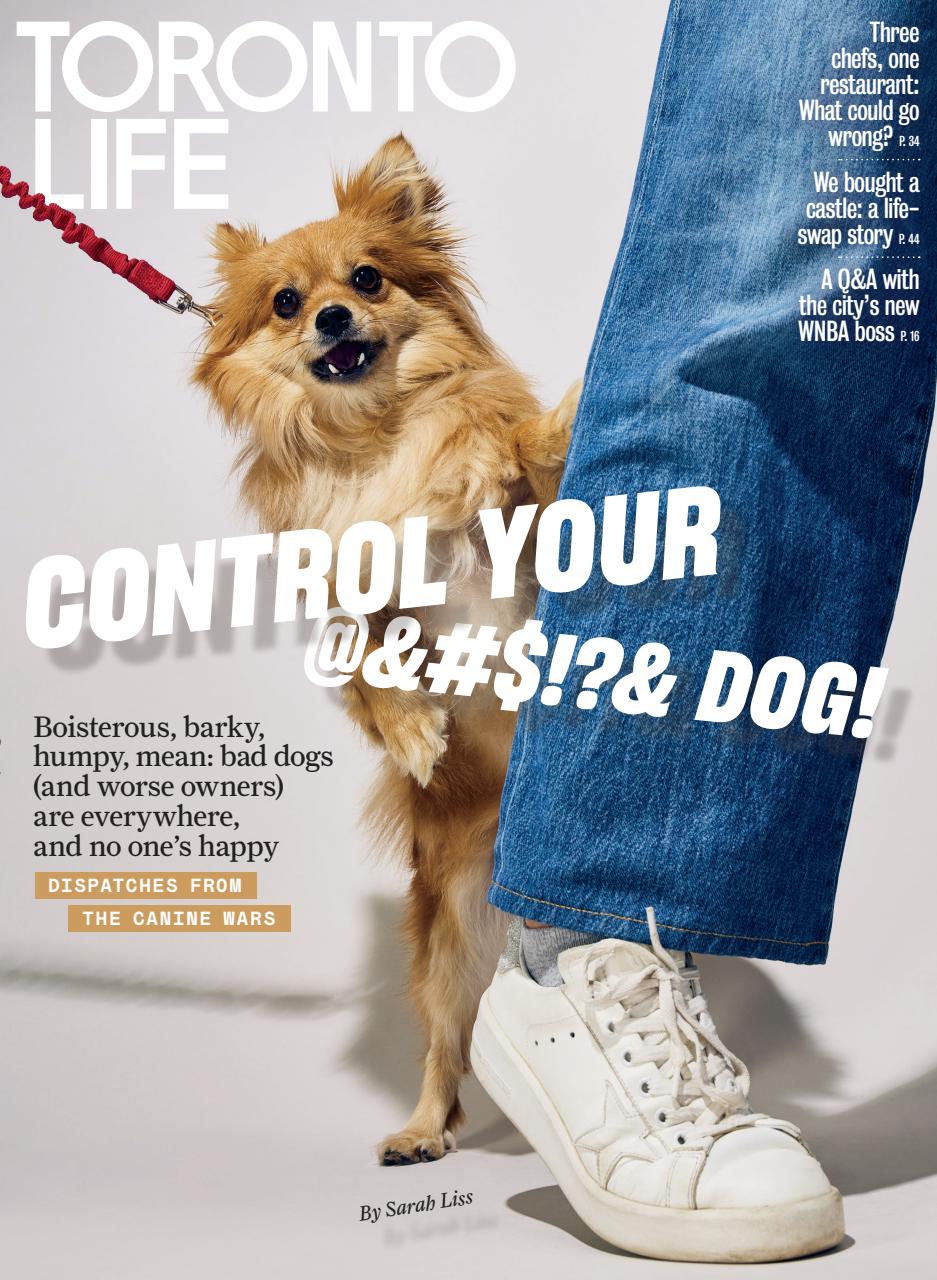 Toronto Life Preview Pages