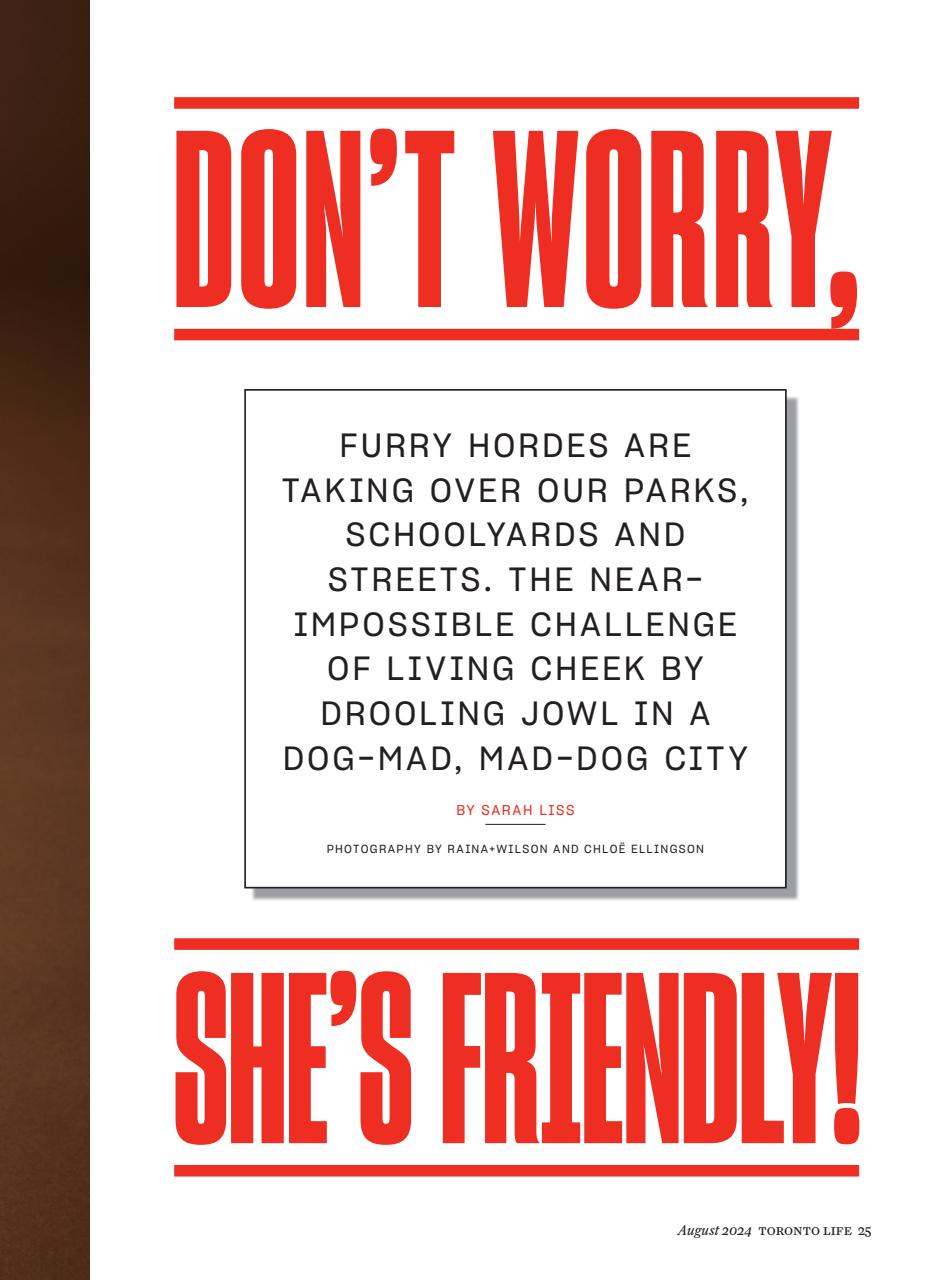 Toronto Life Preview Pages