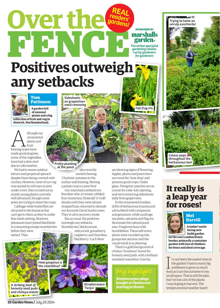 Garden News Preview Pages
